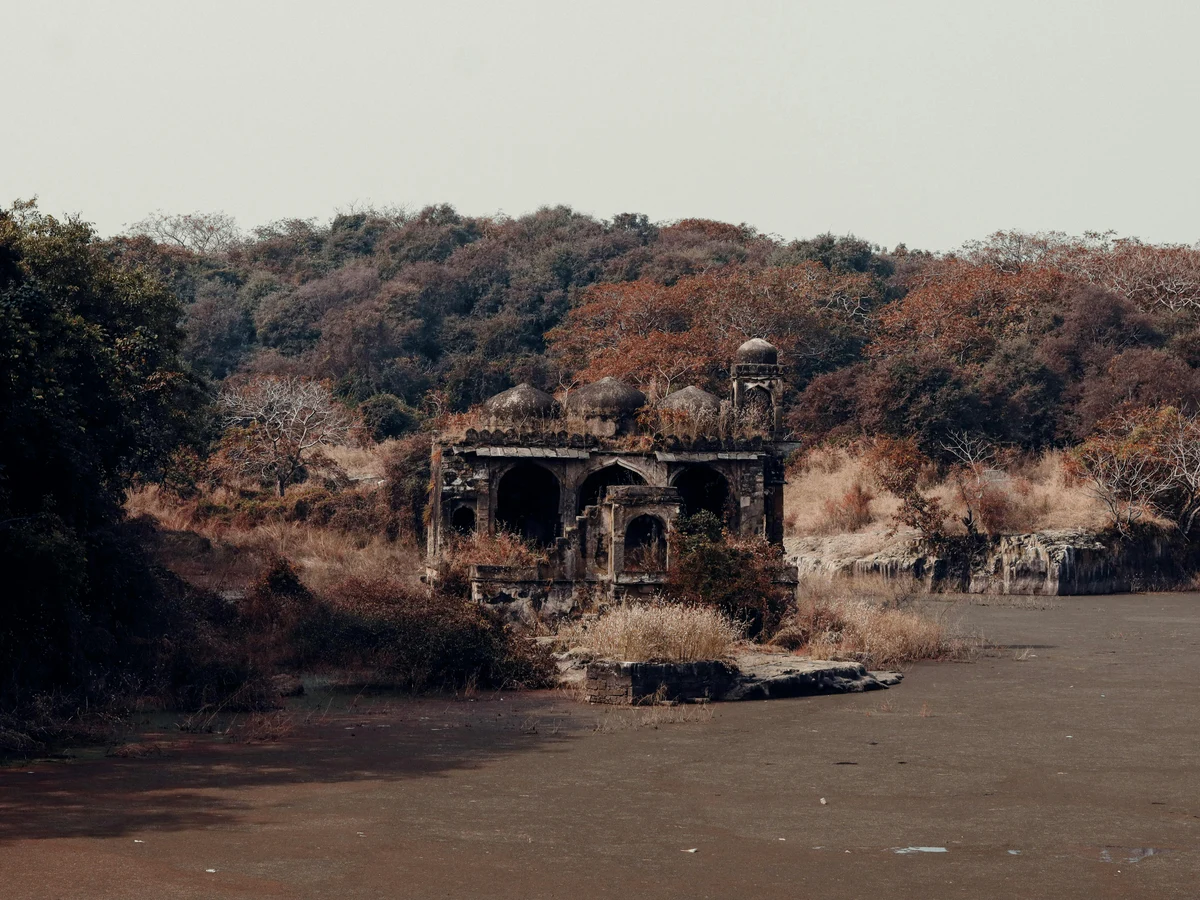 Temple Ruins, Ranthambore Fort, Ranthambore National Park, Rajasthan, India