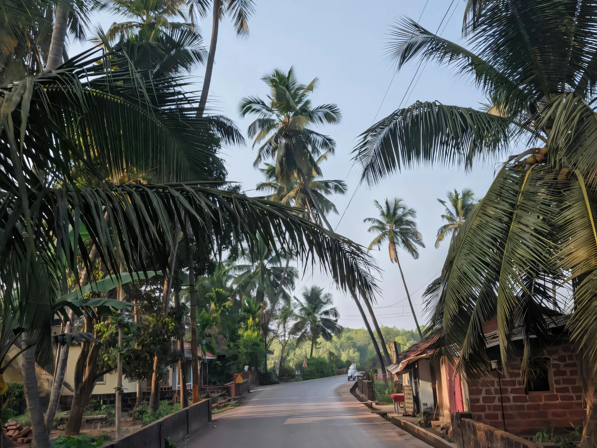 Scenic Rural Road with Tropical Palm Trees