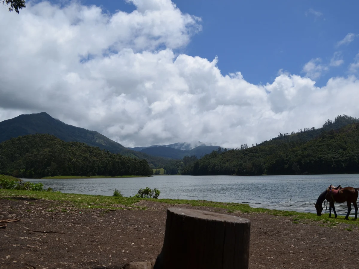 Kundale lake, Munnar, Kerala, India