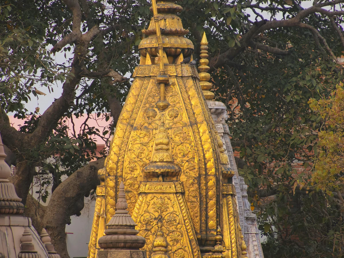 Kashi Vishwanath Temple in Varanasi